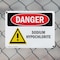 Signmission Sodium Hypochlorite Danger Sign, Plastic, 10in W x 7in L, 2PK OS-2PACK-DS-P-710-L-1577 - alternate 3
